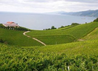 Desde Los Angeles Times: rendida ante el txakoli y las anchoas de Getaria