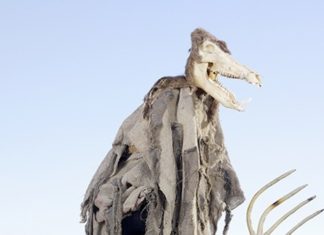 Zezengorri, desde USA a Vietnam. Las conexiones atávicas de Europa emergen en Carnavales