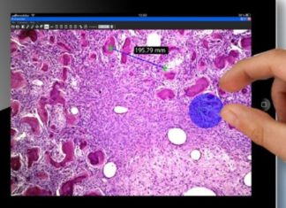 Se crea en Euskadi Biopool, el Google de la investigación médica