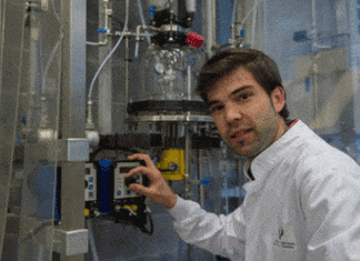 No son tontos…..a los vehículos también les gusta el vino