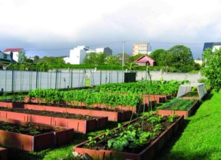 NEIKER-Tecnalia impulsa la creación de huertos ecológicos urbanos