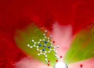 La extraordinaria situación de las Investigación en Euskadi, según «Materials Views»