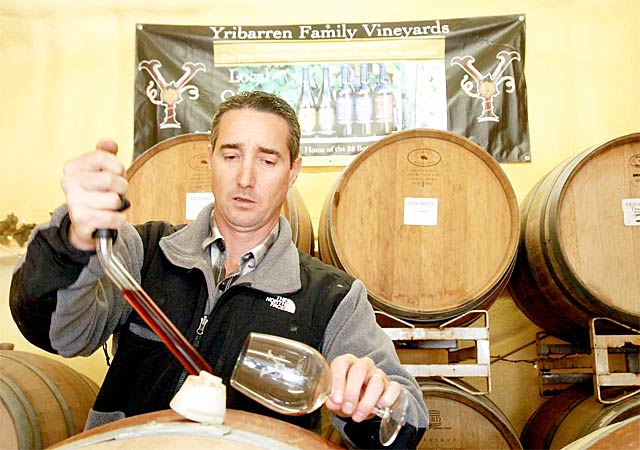 jeff-yribarren-vines