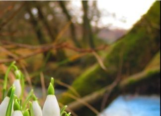 La foto de una vasca seleccionada en la BBC Scotland