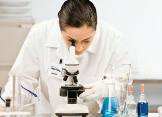 Los Vascos, un modelo en Innovación para Gales