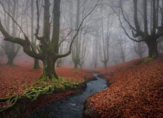 Un «escenario de fantasía» en las montañas vascas (fotografías)