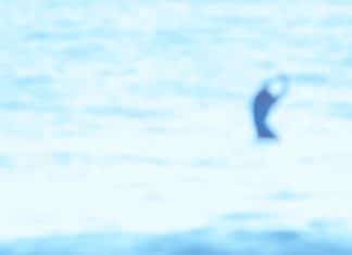 «Andrea Molina: Basque Secret» y otros vídeos de surf en Euskadi que enamoran