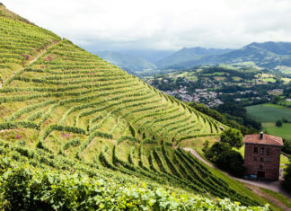 New York Times: Irouléguy wines…Irresistible!