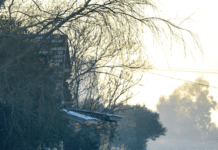 Colabora con un libro sobre la importante (y desconocida) historia de los vascos en Brasil