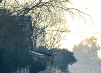 Colabora con un libro sobre la importante (y desconocida) historia de los vascos en Brasil