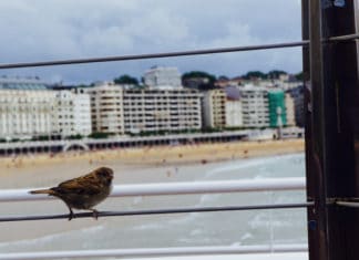 Una joven viajera, fotógrafa y poetisa canadiense, en «El País de los Vascos» Una joven exploradora, fotógrafa y poetisa canadiense, en "El País de los Vascos"