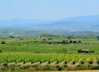 Una ilustradora visita a la Rioja alavesa de un matrimonio viajero norteamericano (con vídeo) Our next wine-tasting stop was the Bodega Ostatu in the town of Samaniego. Ostatu is a family-owned winery that's also eco-friendly and carbon neutral. (Vistas desde las Bodegas Ostatu)