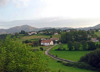 La «lección magistral» de un carnicero de Sara Sara, Euskadi