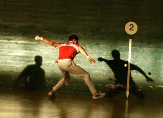 Una «mirada irlandesa» a «El País de los Vascos»