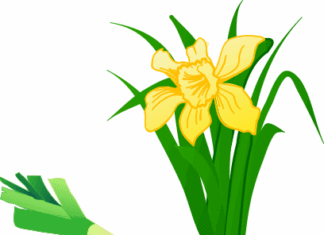 Una galesa: es casi imposible ser infeliz en Bilbao