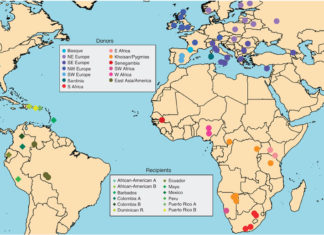 “Euskal arrasto genetiko” sakona Amerikan. Denen bistatik ezkutuan Nature. Unravelling the hidden ancestry of American admixed populations