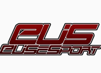 Una buena idea. Crear una «Selección Vasca de Deportes electrónicos» Asociación Vasca de Deportes Electrónicos (EUSeSports)