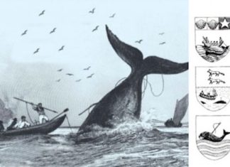 ¿Quieres conocer la historia de los balleneros vascos? Pues no te pierdas esto Balleneros vascos