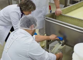 Las aplicaciones del lactosuero de las queserías. Desde el «biogás» al «cacao soluble» Programa Valorlact