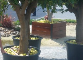 Bilbao, una ciudad inolvidable Matrimonio brasileño visita Bilbao