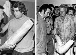 Profesor universitario de Florida se ofrece para dar una charla sobre «El Jai Alai en USA» ¡Gratis! En su época más dorada, el Jai Alai atraía a personalidades de los más diversos ámbitos; en las imágenes de arriba, John Travolta, Paul Newman y Jane Mansfield.