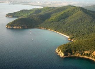Un joven desaparecido en Bilbao hace 18 años ¿Vive como un eremita en Italia? Una vista aérea de una zona de los bosque de la "bandite di Scarlino" donde se refugio el "eremita"