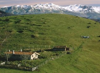 El Goierri gipuzkoano «salta al mundo» a través del Financial Times La ruta del Queso de Idiazabal en el Goierri gipuzkoano difundida en Financial times