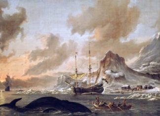 Colabora en «hacer película» una parte de la Historia de los vascos y gana un viaje para dos a Islandia BaskavIgin a.k.a. La matanza de los balleneros vascos