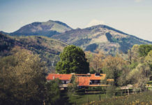 Los textos de Harkaitz Cano para un libro con Aduriz, seleccionados para el «BEST EUROPEAN FICTION 2016» Los textos de Harkaitz Cano para un libro con Aduriz, seleccionados para el "BEST EUROPEAN FICTION 2016" (Fotografía: Restaurante Mugariz)