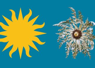 The summer when the Smithsonian “sun” will turn into the Basque Eguzkilore @SmithsonianFolk
