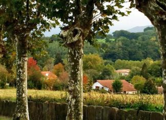 Lawyer and writer Deborah L. Jacobs describes in The New York Times how she enjoyed her stay in Euskadi Foto de Sara tomada por Deborah L. Jacobs en Euskadi