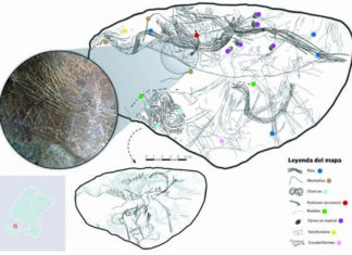 The oldest map in Western Europe discovered in a cave in Navarre Explicacion del mapa más antiguo de Europa encontrado en una cueva de Navarra