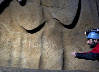 Artists triumph around the world only 14,000 years after creating their works of art El arqueólogo Diego Garate muestra las pinturas con representaciones de animales que fueron halladas en la cueva de Atxurra. (DIPUTACIÓN FORAL DE BIZKAIA )