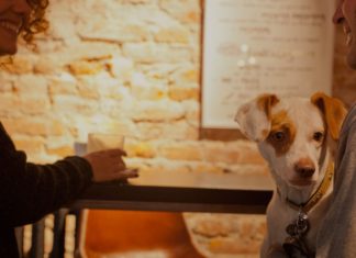 Dog Vivant. Una guía para disfrutar del País Vasco en compañía de tu perro Dog vivant. Disfruta del ocio en compañía de tu perro