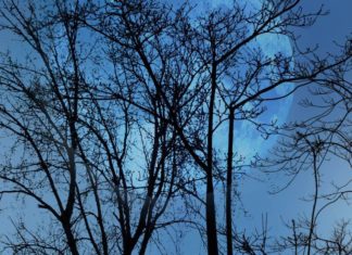 ¿Quieres publicar un libro? Recuerda que también se juzga por la portada Imagina Desings. Ejemplo de diseño de portada para libro