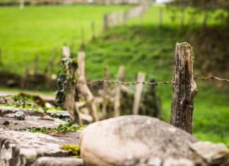 A Basque-Canadian connection “transports” a Basque ciderhouse to Vancouver Orchard & The Sea. Una sideria de inspiración vasca en Vancouver