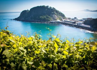 Un magnífico reportaje sobre Getaria en la web de Forbes con Balenciaga y el Txakoli como «excusa» Vista del Ratón de Getaria desde los viñedos de tsakoli