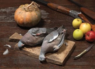 Pirinioen bihotzean euskadunen “uso ehiza” tradizionala, sareak eta arrauna erabiliz, New York Times-en New York Times publica un artículo sobre el tradicional métodeo de caza de palomas con red que practican los vascos