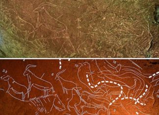 The discovery of prehistory etchings in Armintxe has become a global headline Grabados de 14.000 años de antigüedad descubiertos en la cueva de Armintxe (Lekeitio -Basque Country)