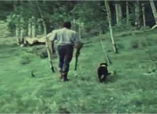 “The Basque Sheepherder”, a jewel of a documentary on VHS that’s been shared on YouTube Un fotograma del documental "The Basque Sheepherder" realizado a principios de los años 70