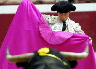 Desde Suiza: Democracia directa en Donostia, «Si la autoridad lo permite y el tiempo no lo impide» Swissinfo analiza en este articulola situación en la que se encuenta la consuta sobre los toros en Donostia