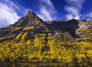 Euskal gastronomia Nevadan (edo estatu hau bisitatu beharraren zergatia) Montañas de Elko (Nevada)