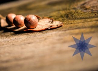 Puesto en marcha el Basque Culinary World Prize 2017