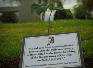 Gernika 80 Committee: recordado el Bombardeo, o ya hay un Árbol de Gernika en Dublín Retoño del Árbol de Gernika plantado en histórico cementerio Glasnevin de Dublín