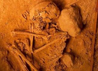 The survival of the Basque language: can it be explained by genetics? Restos arqueológicos excavados en Portugal, de los cuales los investigadores han extraído ADN (Rui Parreira)