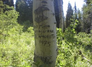 Las «historias de vascos» grabadas en los álamos de los USA This Idaho carving from 1975 lists the name, Jose Maria Eizaguirre, and the hometown, Amoroto, of the carver. Amoroto is located in the Bizkaia province in Basque Country, where about 90 percent of Idaho Basques emigrated from, says John Bieter. BOISE STATE UNIVERSITY, SPECIAL COLLECTIONS AND ARCHIVES