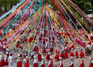 From Cambridge: “When I’m in the Basque Country, I’m at home” Traditional dancing at a Basque festival WIKIPEDIA