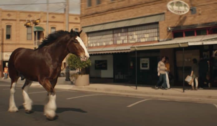 Budweiser | Beer Country