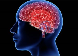 The University of the Basque Country presents an important breakthrough in the fight against Parkinson’s UPV/EHU en la lucha contra el Parkinson (Credit- Tatiana Shepeleva/Shutterstock.com).jpeg