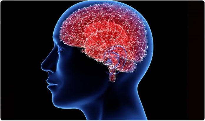 UPV/EHU en la lucha contra el Parkinson (Credit- Tatiana Shepeleva/Shutterstock.com).jpeg